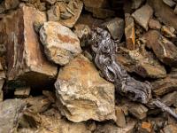 Trockener Weinstockteil zwischen Steinen